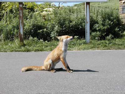 �������L�^�L�c�l